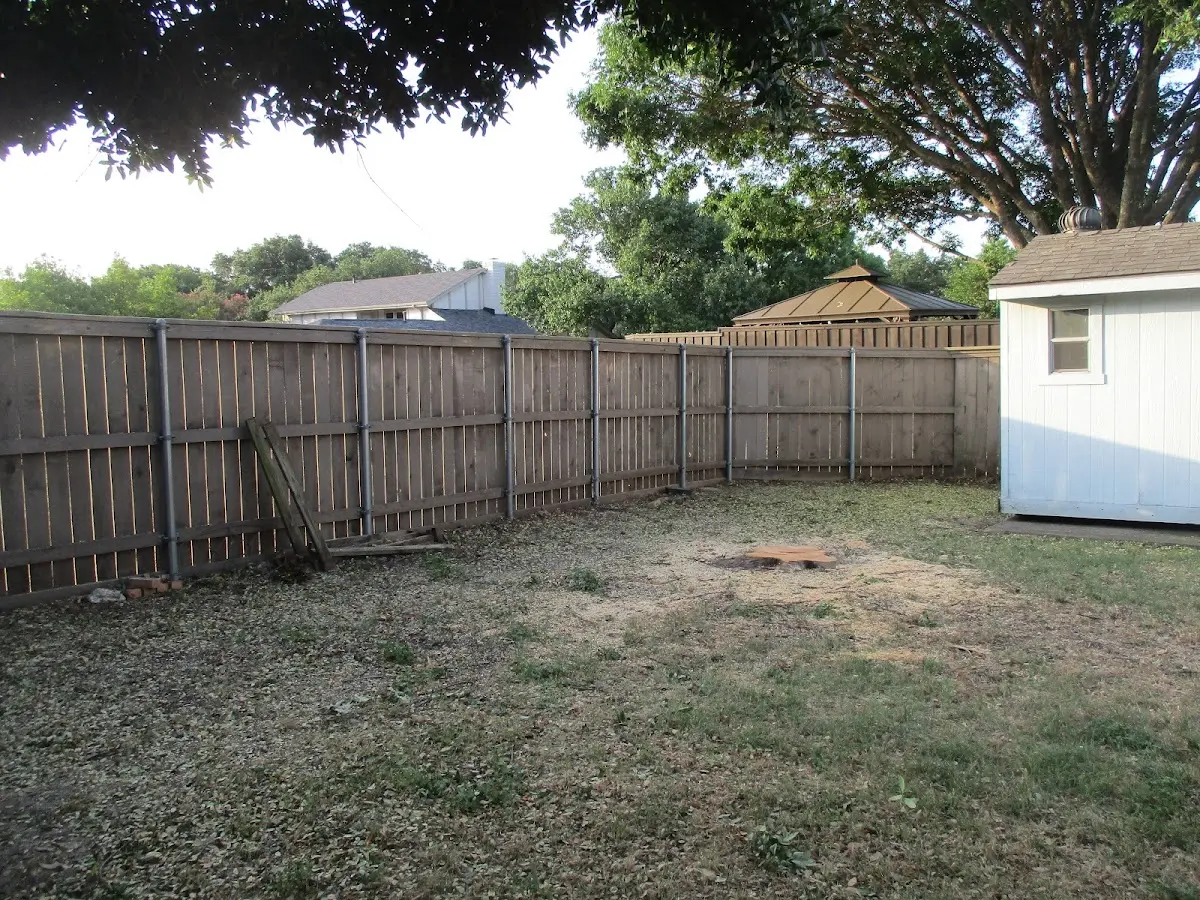 Cleared yard after professional tree removal in Hopwood